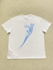 Apparel category