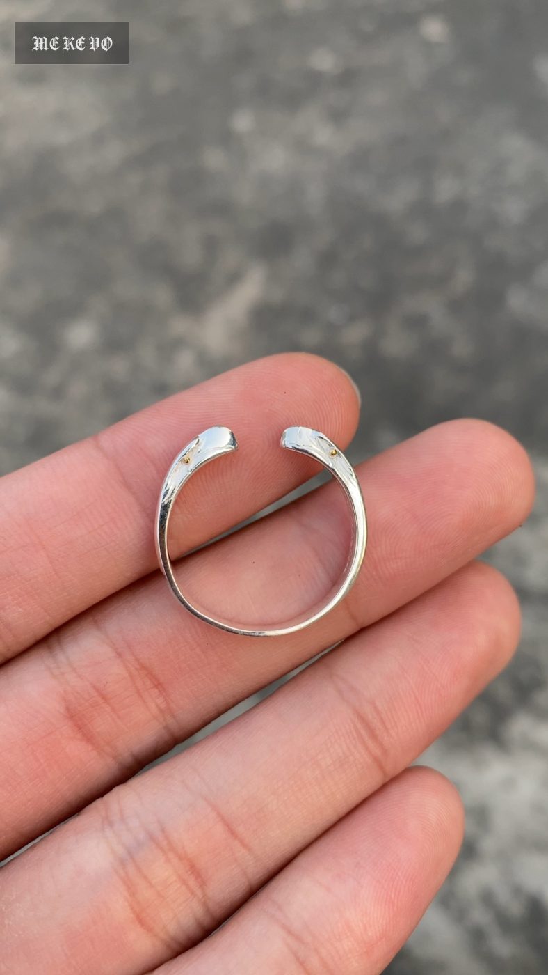 Takahashi Ring